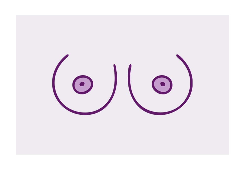 Illustratie ronde borsten