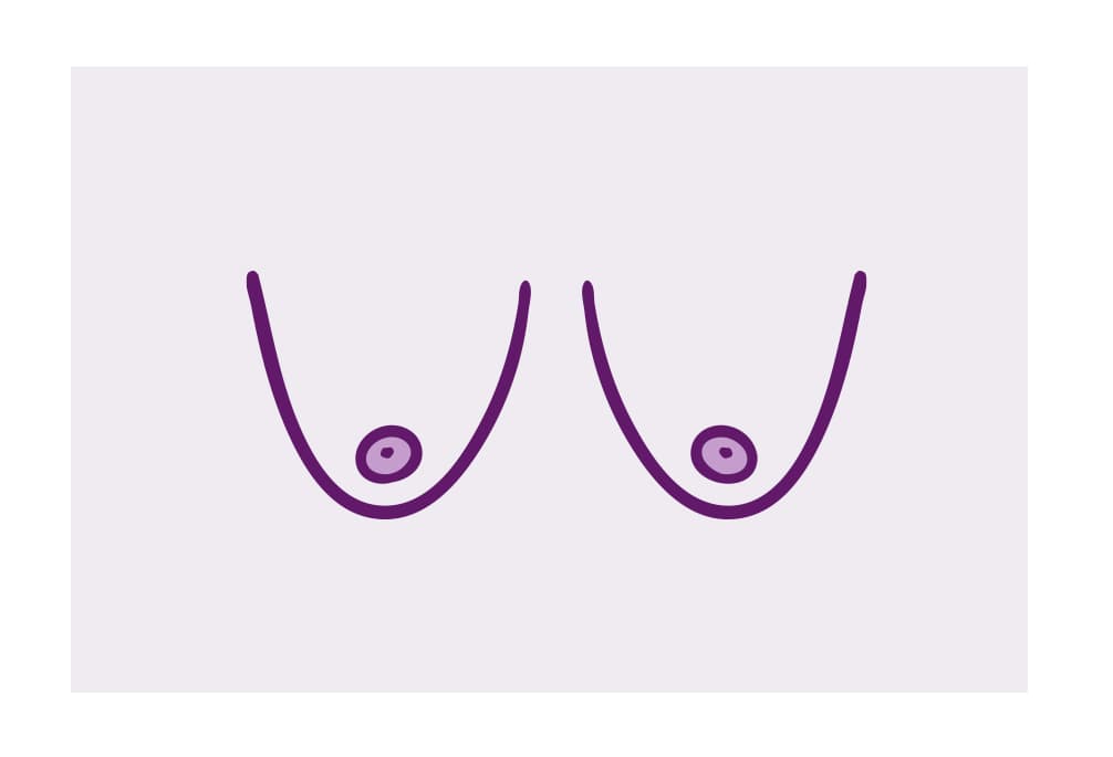 Illustratie slanke borsten